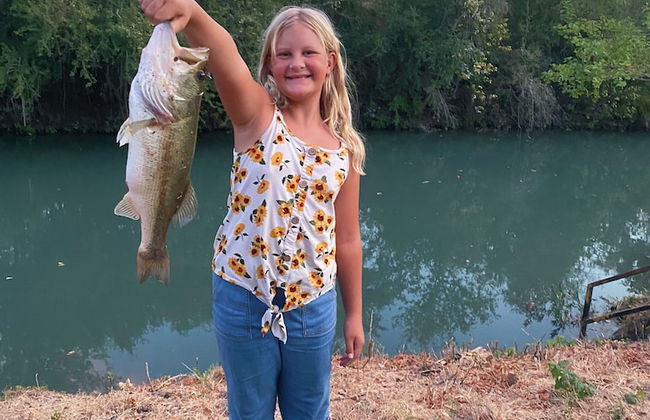 3 Son's Geronimo - Birdhouse Cabin - Foto 27