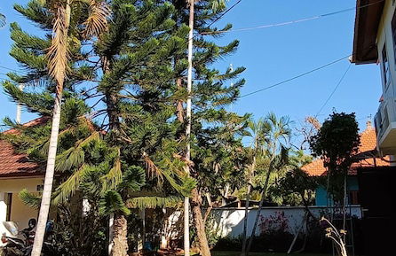 Villa Lilly - Foto 54