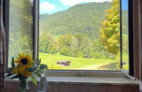 Maiergschwendter-Hof inkl. Chiemgaukarte - Foto 12