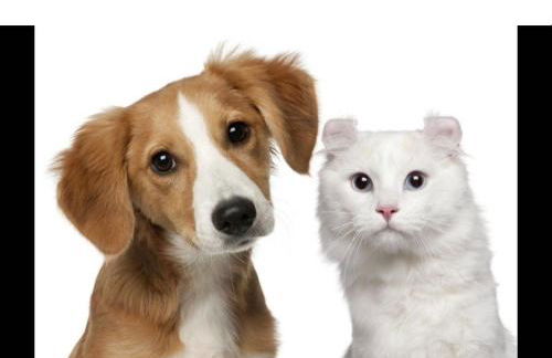 Villa totalmente independiente con piscina comunitaria - Foto 16