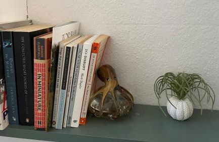 Luxury flat in Totnes - Foto 15