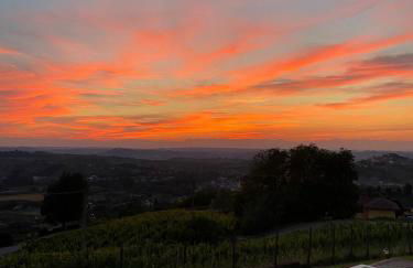 Villa il Gelso - Foto 12