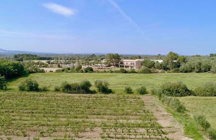 Finca Agroturismo Son Menut - Foto 17