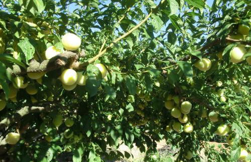 Apartamento en pleno Montseny Mas Romeu Turisme Rural - Foto 54