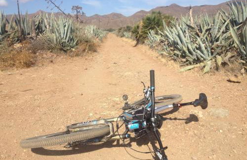 Apartamento encantador - Foto 15