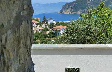 Skopelos luxurious villa "Aloupi" - Foto 21