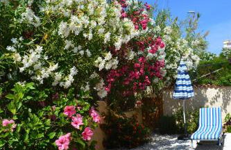 Casa Alexandra - Foto 16