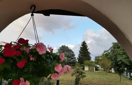 Romantic Apartment Flower - Photo 1