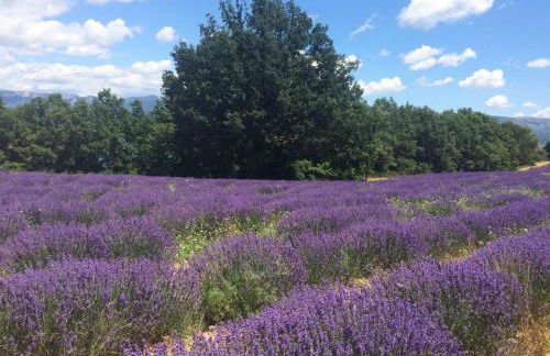 Les Arcades - Foto 39
