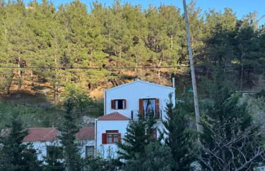 Maro's house - Foto 39