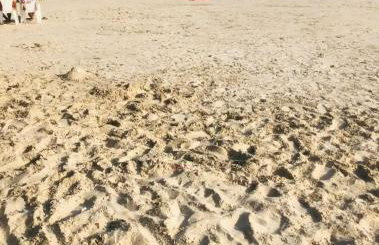 Cosa Aconchegante com Piscina - Foto 4