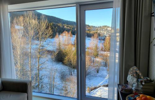 Apartament Biała Perła Czarna Góra Resort - Foto 9