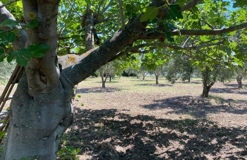 Villa Eleonas by the Sea with private pool - Foto 31