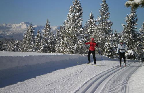 Grandma's Cabin Yellowstone Vacation Home - Foto 70