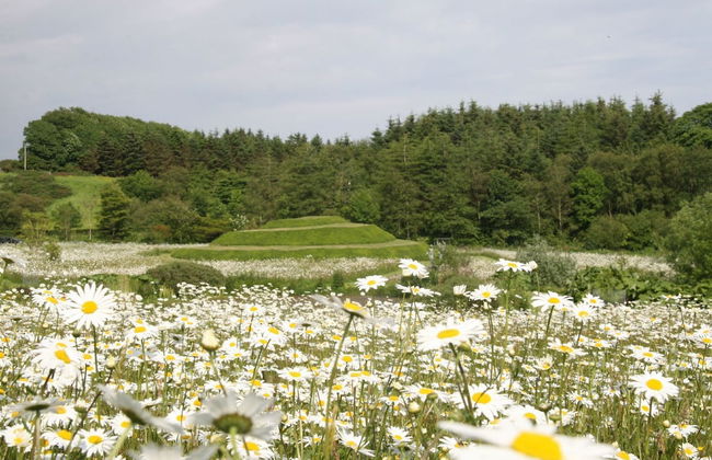 Cutlar's Lodge - Foto 35