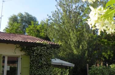 Caterina Residence - Foto 22