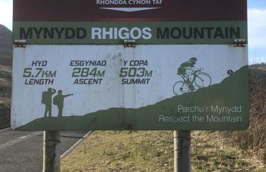 Herbert Place - Foto 33