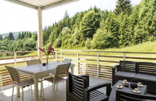 bel appartement 3 pièces dans la Résidence Vosges-Alsace Orbey - Foto 44