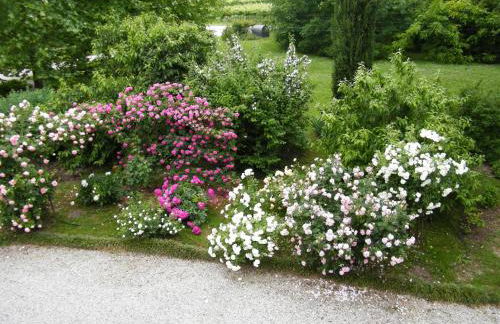 Il nido di rondine - Photo 26