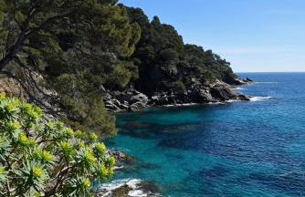 Green village - Foto 27