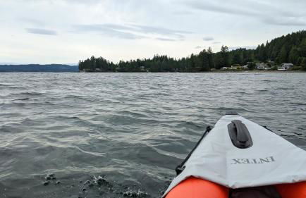 Hoodsport Memory - Beach View, Oysters & Near Olympic Forest - Foto 19