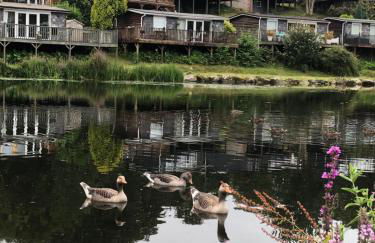 Chalet 64, Lakeside, Glan Gwna Holiday Park - Photo 20