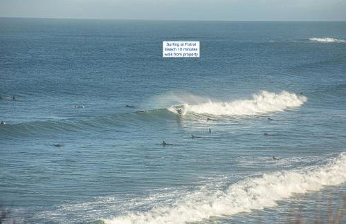 Harvest Moon - Foto 41