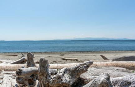 Smugglers Lagoon Beach Cottage by Avantstay - Foto 20