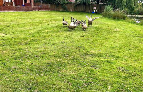 2 Bed in Norwich oc-88981 - Foto 6