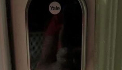 Playing Hookie LLC - Foto 5