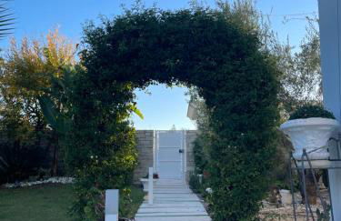 Oasi della pace - Foto 43