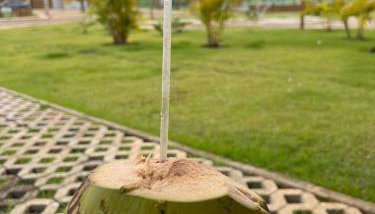 Casa Marceneiro Milagres - Foto 3