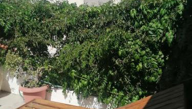 "Eirini" traditional house Creta Archanes, Αρχάνες σπίτι - Photo 5