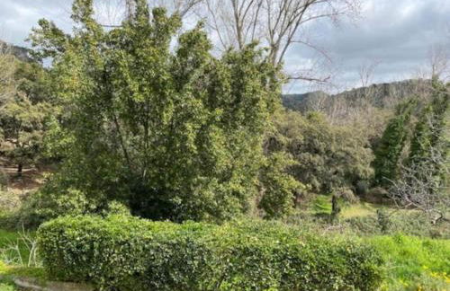 El Águila, Stone Cottage - Foto 28