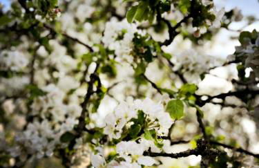 Lovingly Restored Half-Timbered House From 1684 - Foto 29