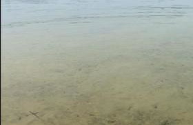 Casa Lagoa Doce - Foto 16