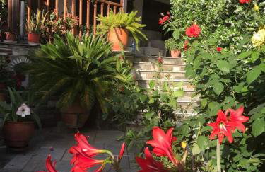 AFISSOS-DREAM 3STUDIOS - Photo 52