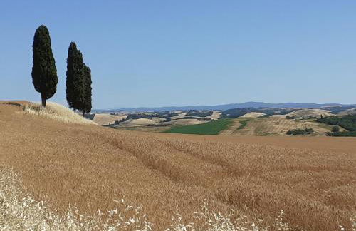 Villa Righino - Foto 21