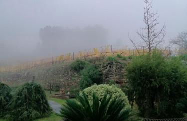 Quinta de Baixo - Photo 28