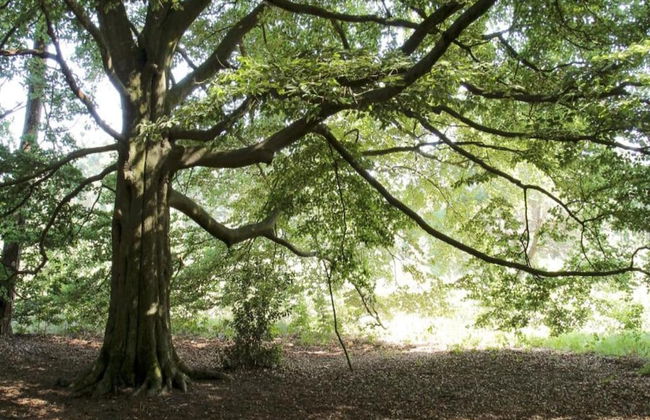 House on Water, Surrounded by Nature - Photo 10