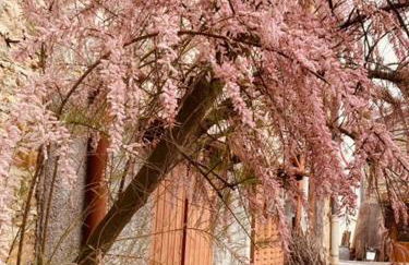 Gîte Brin de Nature au cœur de la nature bugiste - Foto 9