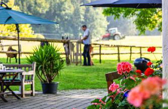 Thalerbauer Ferienwohnungen - Foto 15