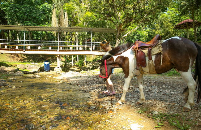 Hotel Fazenda Pommernland - Photo 15