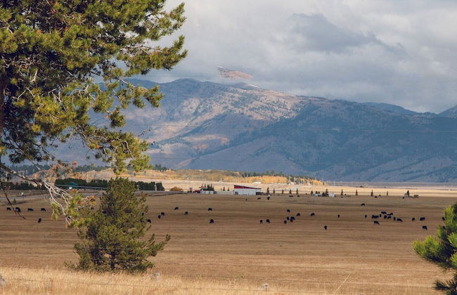 Timbers at Island Park Village Resort - Foto 38