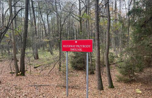 Leśniczówka Myśliwska - Foto 17