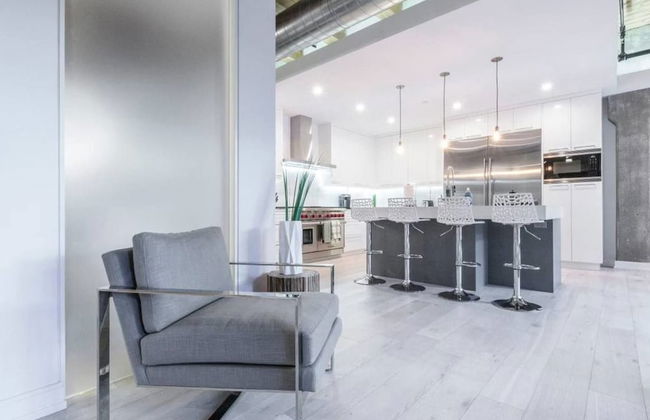 Breathtaking 6 BDR Luxury Condo Downtown Chicago - Foto 40