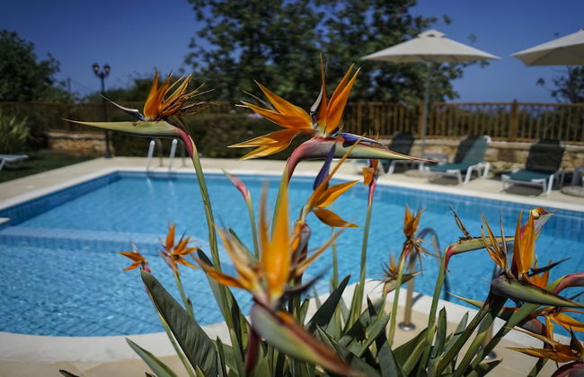 Dafni - Gerani Villas With Private Pooi - Foto 1