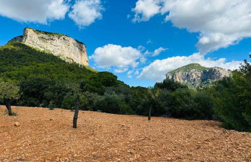 Agroturismo Son Penyaflor - Foto 14