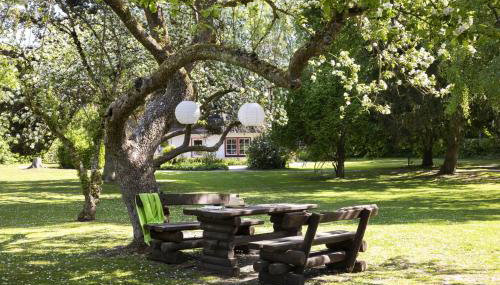 Reetdachhaus nahe der Ostsee mit Sauna und Garten - Foto 3, Garden