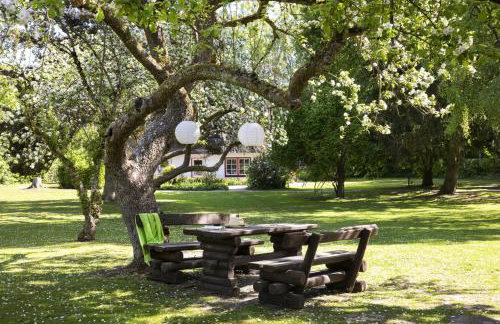 Reetdachhaus nahe der Ostsee mit Sauna und Garten - Foto 3